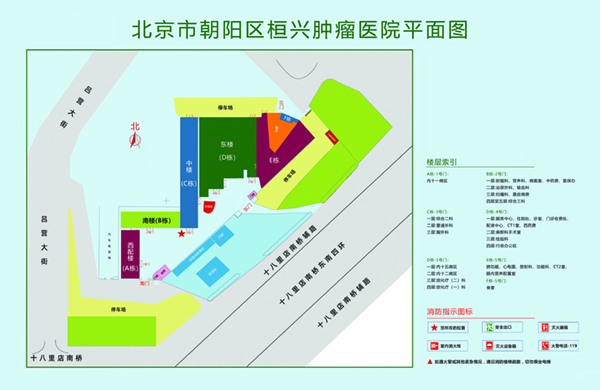 大鸡巴大屁股手机在线视频北京市朝阳区桓兴肿瘤医院平面图